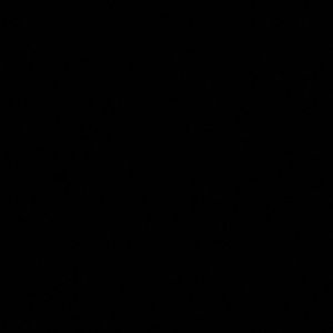 Meet your Posher, Abdul